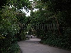-小南山公园