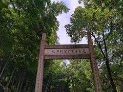 -黄公望隐居地