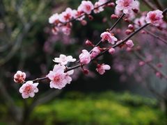 -静安雕塑公园