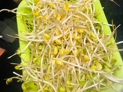 -楚湘苑(商品街大道店)