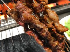 -邢氏老太太烤串(北兴街店)