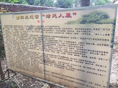 -活死人墓