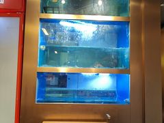 -邹开喜·炭炉鸡煲·海鲜火锅(虹口足球场店)