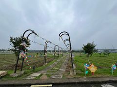 -枫林花海