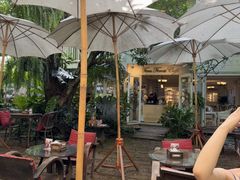 -Fern Forest Cafe