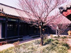 -竹泉村旅游度假区
