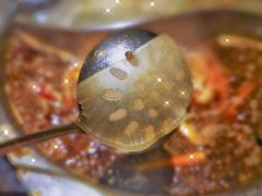 番茄鸳鸯锅-三只耳冷锅鱼火锅(玉林店)