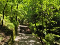 -牛背梁国家森林公园