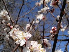 -北京雁栖湖国际会展中心