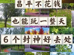 -华府九号海鲜烧烤大排档(龙域店)