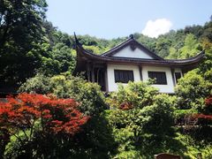 -十八棵（老龙井）御茶园(老龙井店)