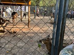 -长白岛森林公园