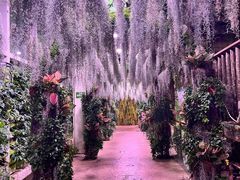 -正佳雨林生态植物园