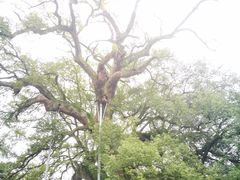 -新安江山水画廊风景区