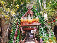 -西双版纳原始森林公园