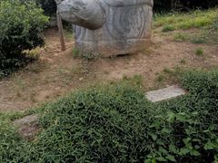 -雨花胜境