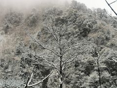-九峰山