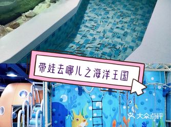 来看看色彩斑斓的鱼鱼凉凉一夏