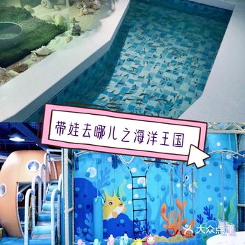 来看看色彩斑斓的鱼鱼凉凉一夏
