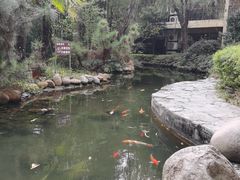 -和县香泉温泉度假村