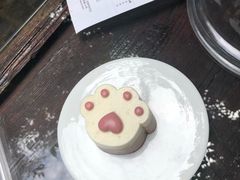 -喵屿·大理花园猫咖