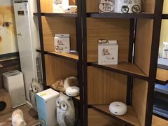 -more than meow吴止猫主题餐厅(承德 中船汇店)