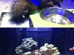 -zoonana室内动物园(东方福来德店)