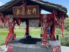 -大围山国家森林公园