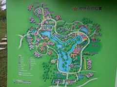 -天适樱花悠乐园