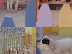 -巨鹏飞梦幻海岸