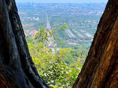 -北京西山国家森林公园