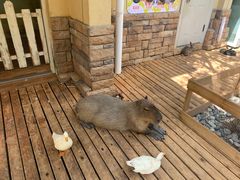 -昆明动物园