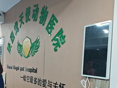 -天使宠物医院·犬猫分诊(彩虹店)