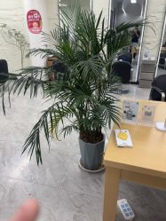 点击看大图 -慕名造型