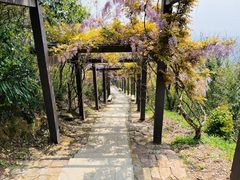 -缥缈峰景区