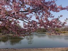 -上海辰山植物园