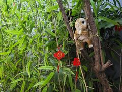 -后海16号·北京私房菜