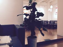 大堂-manabe (共和新路店)