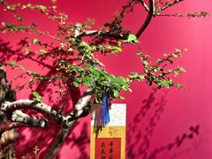 -中华世纪坛