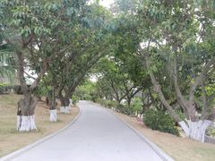-崇武古城风景区