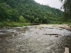 -白河湾生态旅游一条川