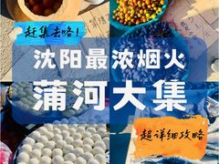 -蒲河大集
