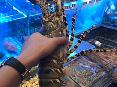 -协成海鲜火锅(情侣路店)