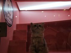 -小时光咖啡馆(北锣鼓巷店)