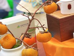 -中国天府农业博览园