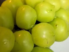 -都氏家DUSJOY(翡翠城店)