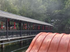 -侨美·唐荔园·40年地道粤菜