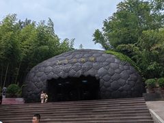 -中国西峡恐龙遗迹园