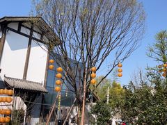 -白鹭湾湿地公园