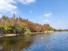 -上海市保健医疗中心